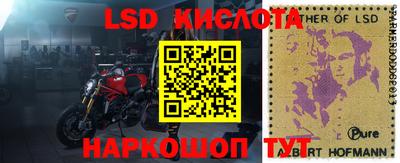 прущие крисы Моздок