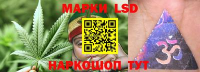 прущие крисы Моздок